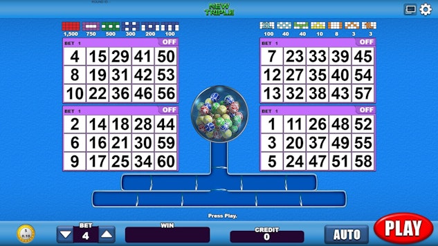 Bingo on 1 XBET