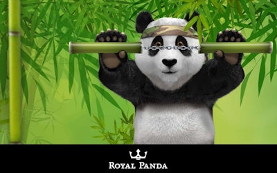 Royal panda bamboo bonus